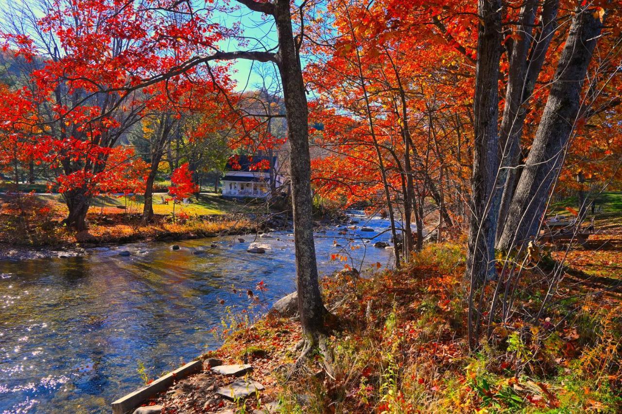 The Lodge At Jackson Village Экстерьер фото